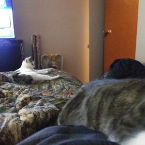 Meet your Posher, Moe